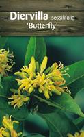 Tuinplant.nl Amerikaanse weigelia