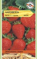 Tuinplant.nl Aardbei