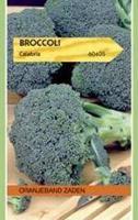 Tuinplant.nl Broccoli