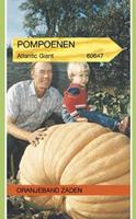 Tuinplant.nl Pompoen