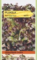 Tuinplant.nl Rode Eikenbladsla
