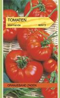 Tuinplant.nl Vleestomaat