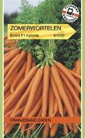 Tuinplant.nl Zomerwortel