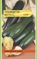 Tuinplant.nl Courgette