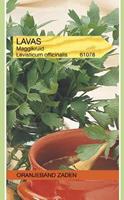 Tuinplant.nl Lavas