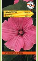 Tuinplant.nl Struikmalva