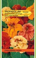 Tuinplant.nl Oost Indische kers