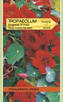 Tuinplant.nl Oost Indische kers