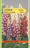 Tuinplant.nl Lupine