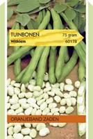 Tuinplant.nl Tuinboon