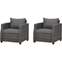 Hioshop Oris 2 stoelen.