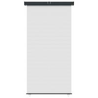 VIDAXL Balkon-Seitenmarkise 160 × 250 cm Creme - Creme