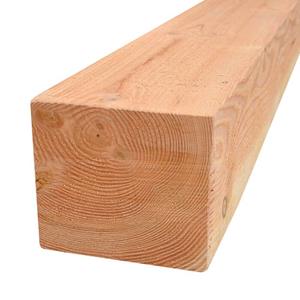 TrendHout Paal lariks douglas 10,0 x 10,0 cm gezaagd
