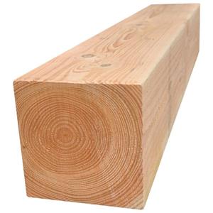 TrendHout Paal lariks douglas 15,0 x 15,0 cm gezaagd
