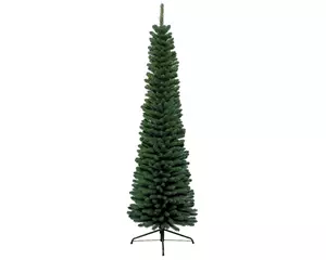 Everlands Pencil pine l150cm groen