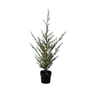 Sirius LED boom Milas Cedar Tree in pot, voor buiten