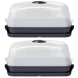 Prosperplast 2x Stuks Kweekbakjes/kweekkasten Antraciet Grijs Met Deksel 39 X 25 X 18 Cm - Kweekkassen