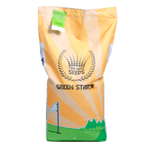 Ten Have Seeds Green Star Siergazon Graszaad, 15 KG