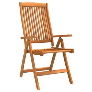 vidaXL Tuinstoelen 2 st inklapbaar massief eucalyptushout