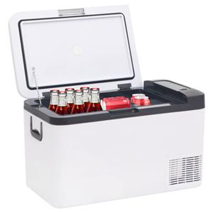 vidaXL Koelbox met handvat en adapter 25 L PP & PE zwart en wit