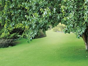 Warentuin Mix Tuinplanten grond aarde 40 liter