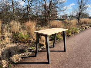 Industrielemeubelshop Bartafel Marny douglashout met stalen poten