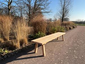 Industrielemeubelshop Douglas bankje Fijs met schuine poten