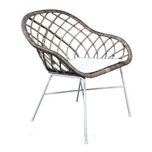 Van der Leeden Rotan stoel Chair Grey