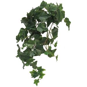 Ivy Chicago M kunsthangplant 