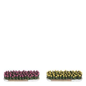 Tulip field 2 pieces - l10xw4,5xh2cm - 