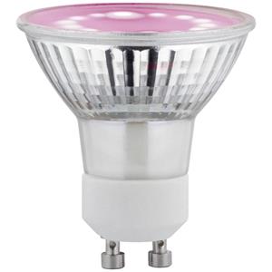 Paulmann 28974 LED GU10 3.5W Bernstein (Ø x H) 50mm x 54mm 1St.