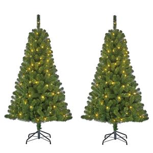 Black Box Set van 2x stuks groene kunst kerstbomen/kunstbomen met warm witte verlichting 120 cm -