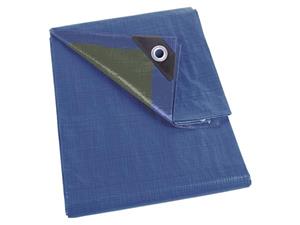 Velleman Dekzeil blauw/groen standaard 2 x 4 m - 