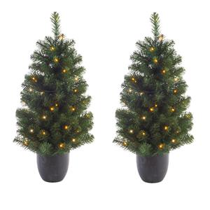 Everlands 2x stuks kunstbomen/kunst kerstbomen met verlichting 120 cm -