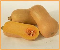 Decoflorall Butternut Victory F1  - 50 zaden Butternut Victory F1 