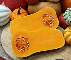 Decoflorall Butternut Emilly F1 Vroege flespompoen