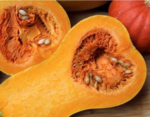Decoflorall Butternut Pancho F1 Hoge productie flespompoen