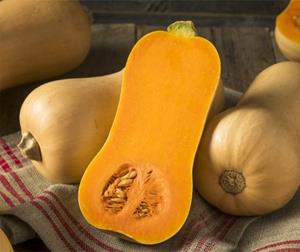 Decoflorall Butternut Betternut 1744 F1 PMT 50  Aanrader Hoge productie flespompoen