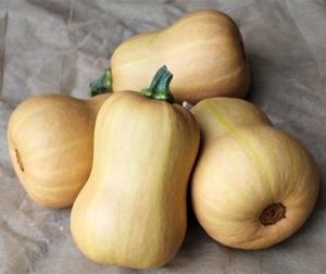 Decoflorall Butternut Butterbaby F1 PMT 1000 Aanrader eenpersoonsflespompoen