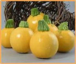 Decoflorall One ball F1 - Floridor F1  One ball F1 - Floridor F1