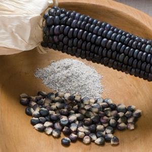 Decoflorall Zea Earth Tones Dent corn Siermais