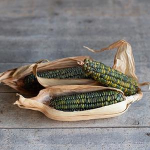Decoflorall Zea Oaxacan Green Siermais