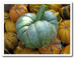 Decoflorall Triamble - basiseenheid Triamble
