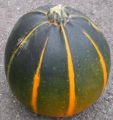 Decoflorall Eightball-ch F1  - basiseenheid Eightball-ch F1 