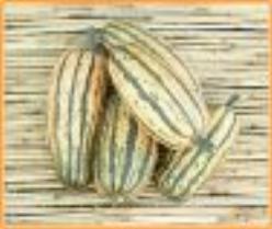 Decoflorall Honeyboat Delicata  basiseenheid