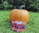 Decoflorall Cronus PMT F1 Halloweenpompoen - 250 zaden Halloweenpompoen