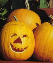 Decoflorall Jack o Lantern - basiseenheid Jack o Lantern