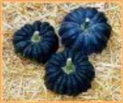 Decoflorall Futsu Black Early - 50 zaden Futsu Black Early