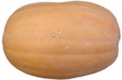Decoflorall Vitamin Pumpkin Vitamin Pumpkin