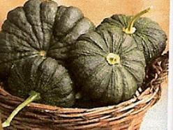 Decoflorall Thai large pumpkin moschata Thai large pumpkin moscha